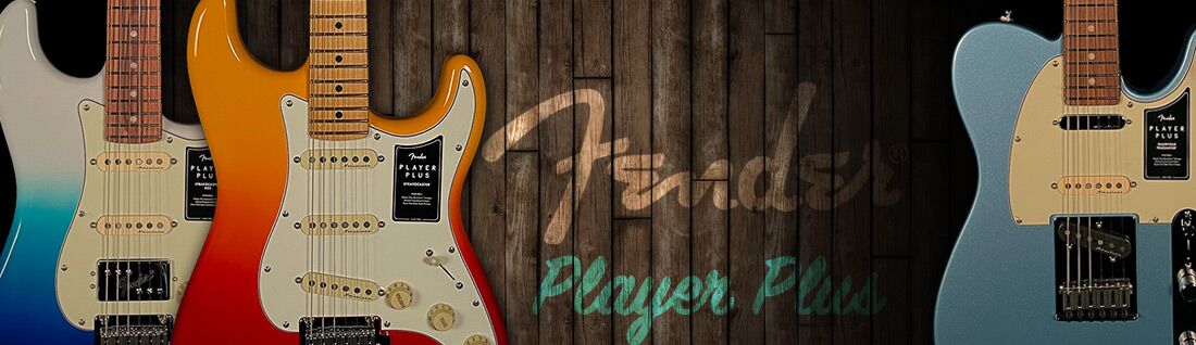 Player Plus | Wildwood Guitars